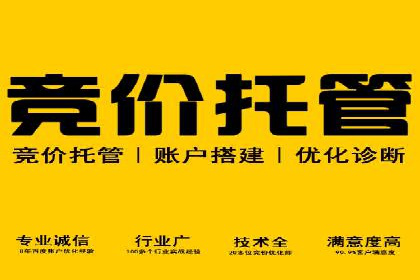 竞价推广技巧分享：成功案例剖析